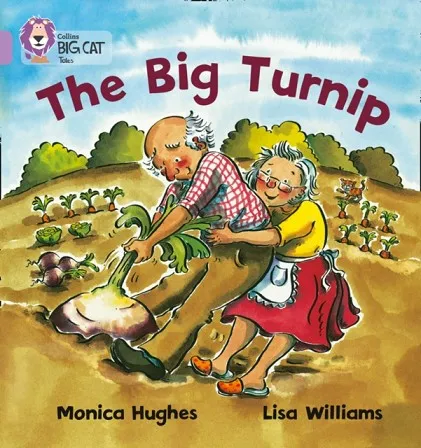 THE BIG TURNIP-FICTION-LILAC - BAND 0