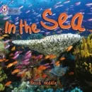 IN THE SEA-NON-FICTION-PINK - BAND 1B