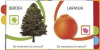 Koloreak