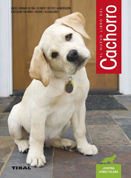 Cachorro.