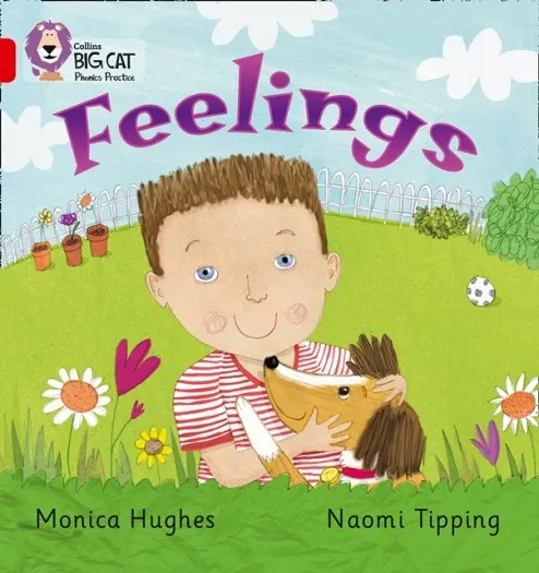 FEELINGS-NON-FICTION-RED - BAND 2B