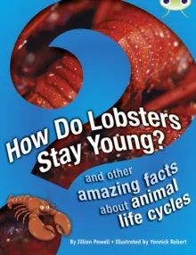 HOW DO LOBSTERS STAY YOUNG? AND OTHER AMAZING FACTS ABOUT ANIMAL LIFE CYCLES