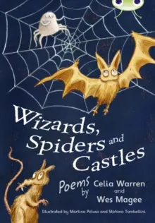 WIZARDS, SPIDERS AND CASTLES