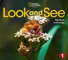 LOOK AND SEE LEVEL 1 BRE BIG BOOK ANTHOLOGY
