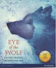 Y6 EYE OF THE WOLF