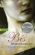 BIS ZUM MORGENGRAUEN
