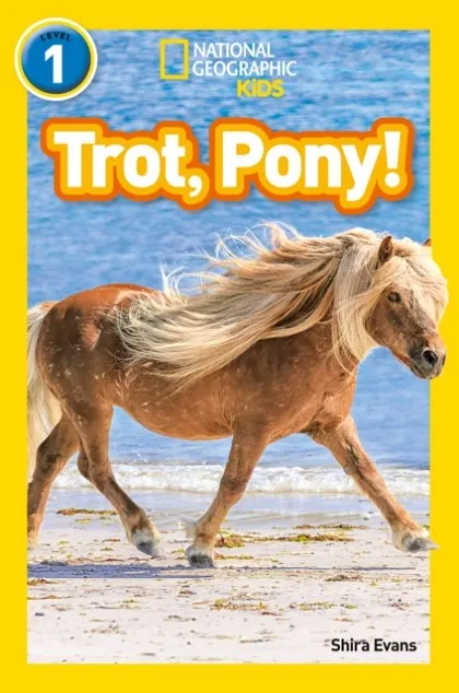 TROT, PONY! -NGKR LEVEL 1