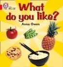 WHAT DO YOU LIKE? -NON-FICTION-RED - BAND 2B