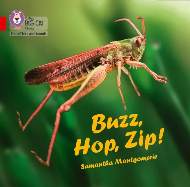 BUZZ, HOP, ZIP! (BIG BOOK EDITION)-FICTION-RED - BAND 2A