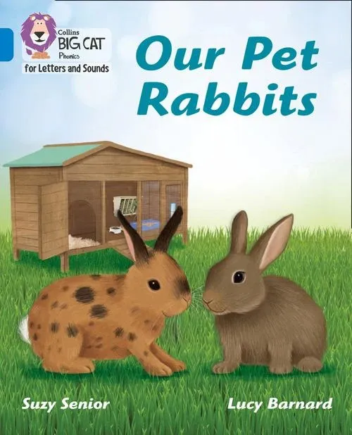 OUR PET RABBITS (SET 5) -NON-FICTION-BLUE - BAND 4