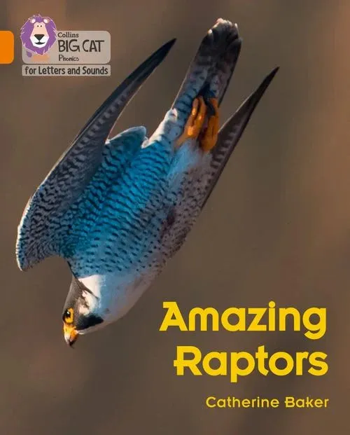 AMAZING RAPTORS (SET 5) -NON-FICTION-ORANGE - BAND 6
