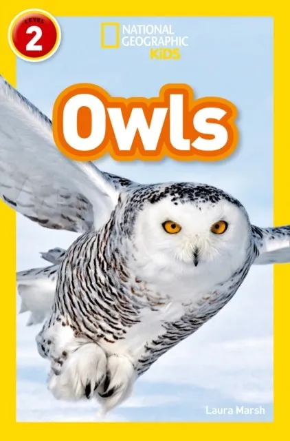 OWLS -NGKR LEVEL 2