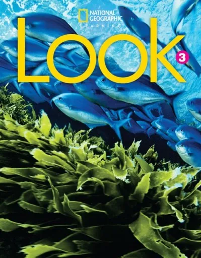 LOOK LEVEL 3 AME WORKBOOK WITH ONLINE PRACTICE