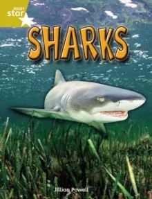 RIGBY STAR INDEPENDENT YEAR 2 GOLD LEVEL: SHARKS