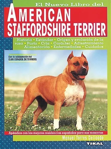 American staffordshire terrier.