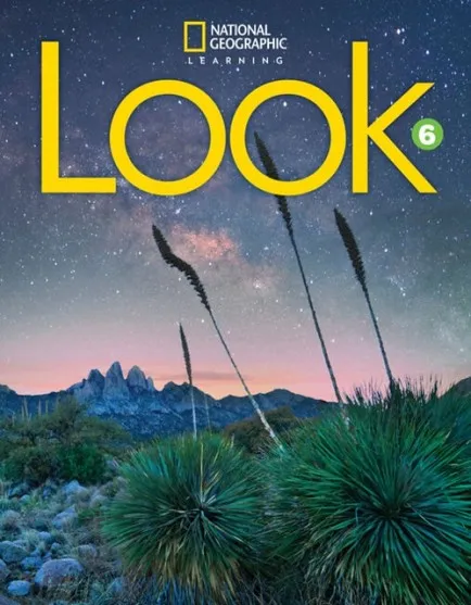 LOOK LEVEL 6 AME WORKBOOK WITH ONLINE PRACTICE