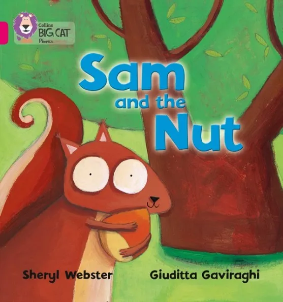 SAM AND THE NUT -FICTION-PINK - BAND 1B