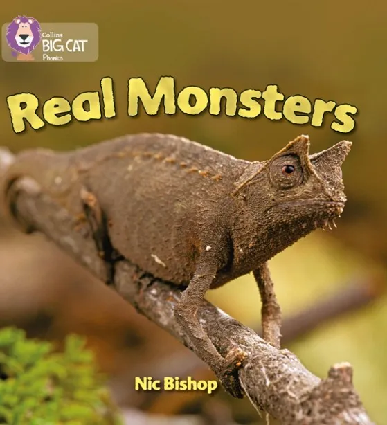 REAL MONSTERS-NON-FICTION-YELLOW - BAND 3