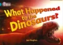 WHAT HAPPENED TO THE DINOSAURS-NON-FICTION-TOPAZ - BAND 13