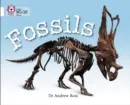 FOSSILS -NON-FICTION-WHITE - BAND 10