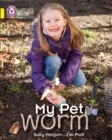 MY PET WORM -NON-FICTION-YELLOW - BAND 3