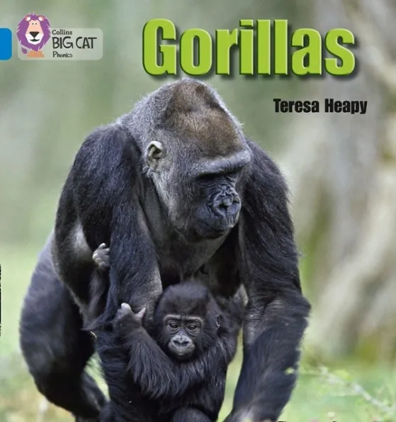 GORILLAS -NON-FICTION-BLUE - BAND 4