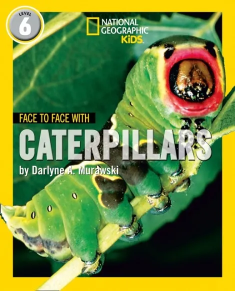 FACE TO FACE WITH CATERPILLARS: LEVEL 6