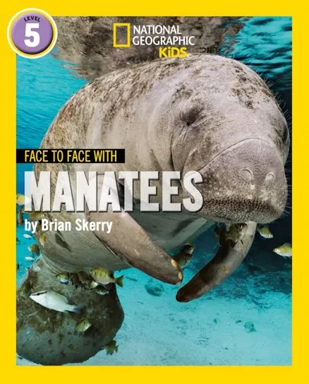 FACE TO FACE WITH MANATEES: LEVEL 5