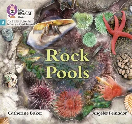ROCK POOLS (SET 1)NON-FICTION PHASE 3