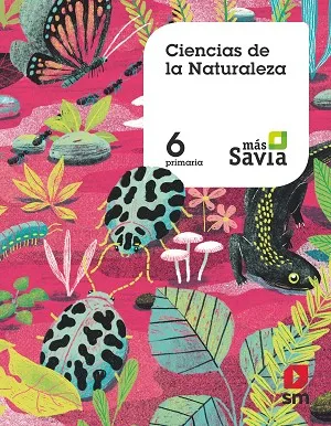 6º EP CIENCIAS DE LA NATURALEZA (MEC) MAS SA 19