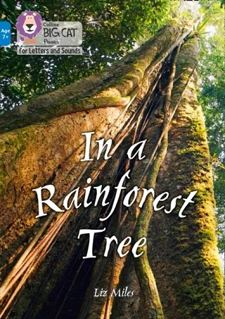 IN A RAINFOREST TREE -NON-FICTION-BLUE - BAND 4