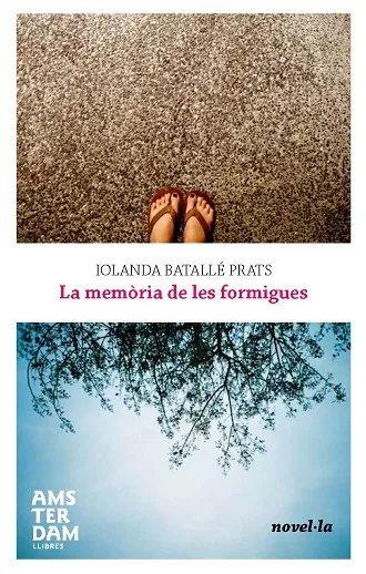 La memòria de les formigues