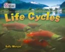 LIFE CYCLES -NON-FICTION-SAPPHIRE - BAND 16
