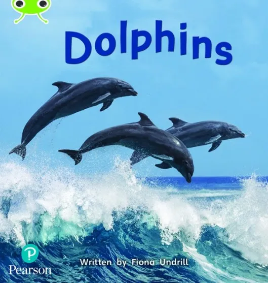 DOLPHINS
