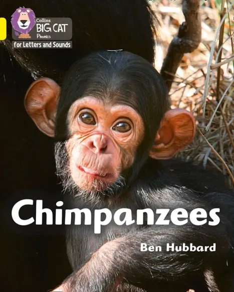 CHIMPANZEES (SET 3) -NON-FICTION-YELLOW - BAND 3