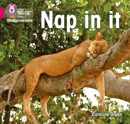 NAP IN IT (SET 5) -NON-FICTION-PINK - BAND 1A