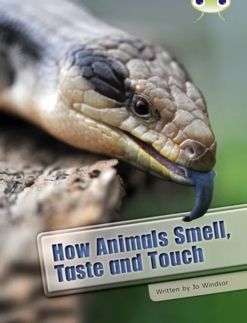HOW ANIMALS SMELL, TASTE AND TOUCH