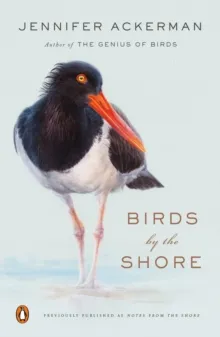 BIRDS BY THE SHORE: OBSERVING THE NATURAL LIFE OF THE ATLANTIC COAST