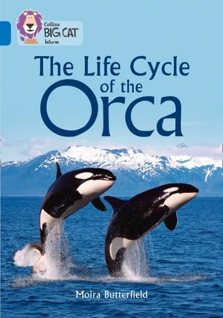 THE LIFE CYCLE OF THE ORCA -NON-FICTION-SAPPHIRE - BAND 16