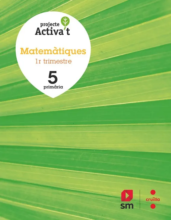 5è EP MATEMÀTIQUES ACTIVA'T 19
