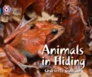 ANIMALS IN HIDING -NON-FICTION-BLUE - BAND 4