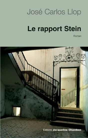LE RAPPORT STEIN
