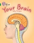 YOUR BRAIN-NON-FICTION-EMERALD - BAND 15