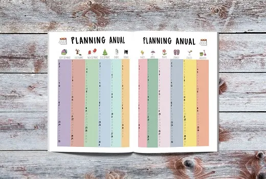PLANNER FOR TEACHERS IN TROUBLE