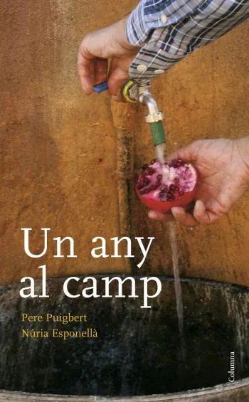 Un any al camp