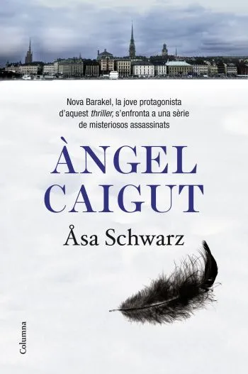 Àngel caigut