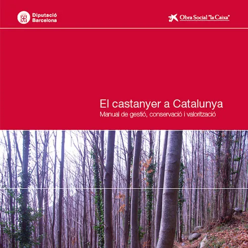 El castanyer a Catalunya