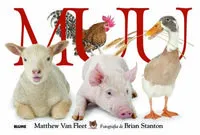 Muu (catalan)
