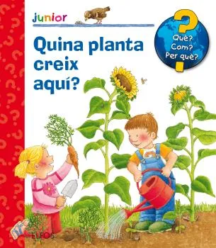 Quina planta creix aquí?
