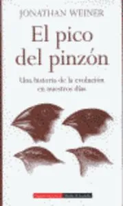 El pico del pinzón
